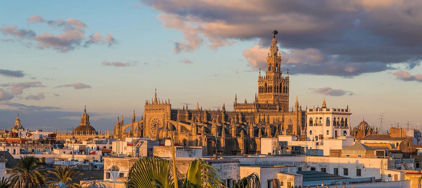 Catedral de Sevilla sobre paredes blancas en un atardecer soleado